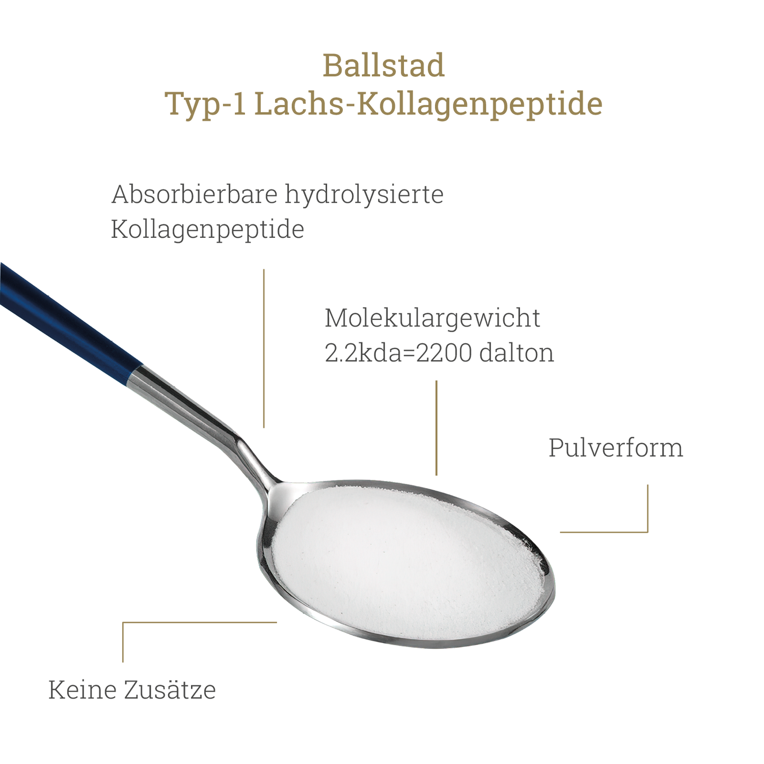 Reine Norwegische Fisch-Kollagenpeptide - 1 Monat