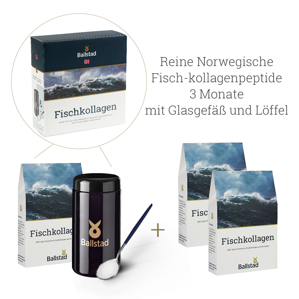 Reine Norwegische Fisch-Kollagenpeptide- 3 Monate