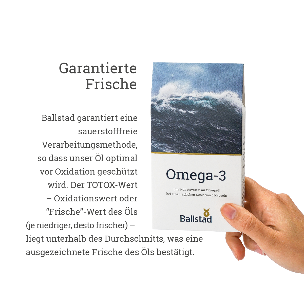 Frische Omega-3 Fischöl-Kapseln - 1 Monat