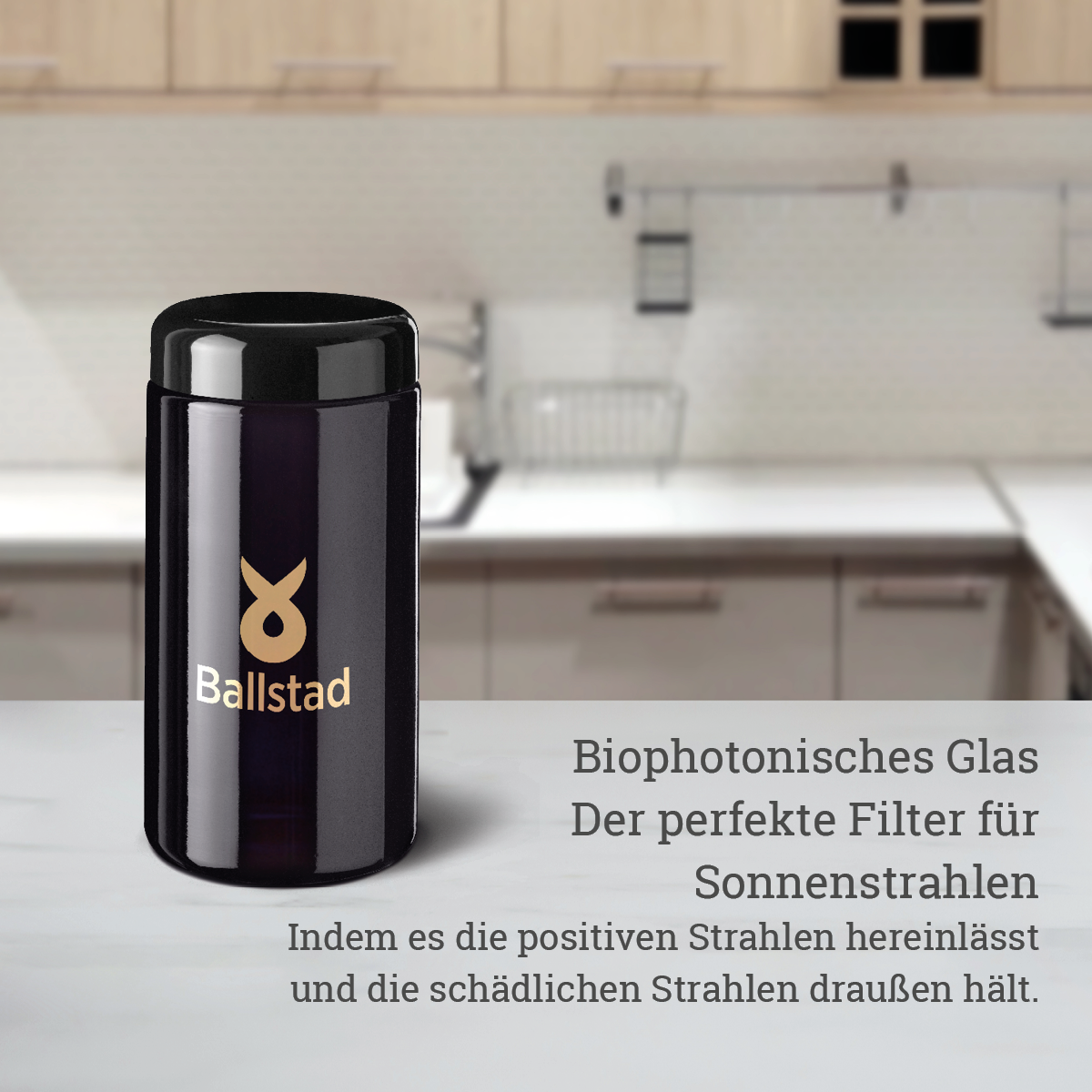 Lachskollagen - 1 Monat