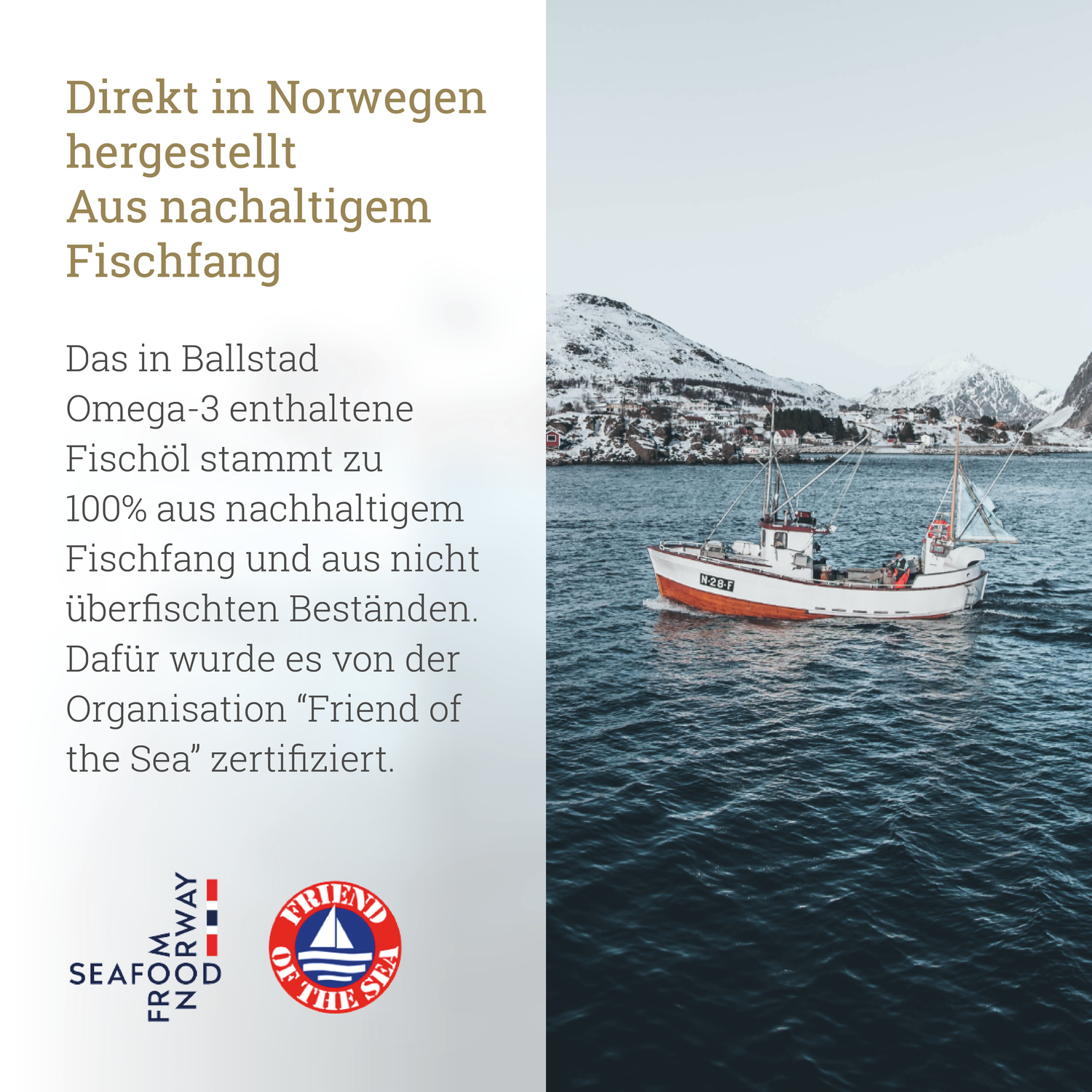 Frische Omega-3 Fischöl-Kapseln - 1 Monat