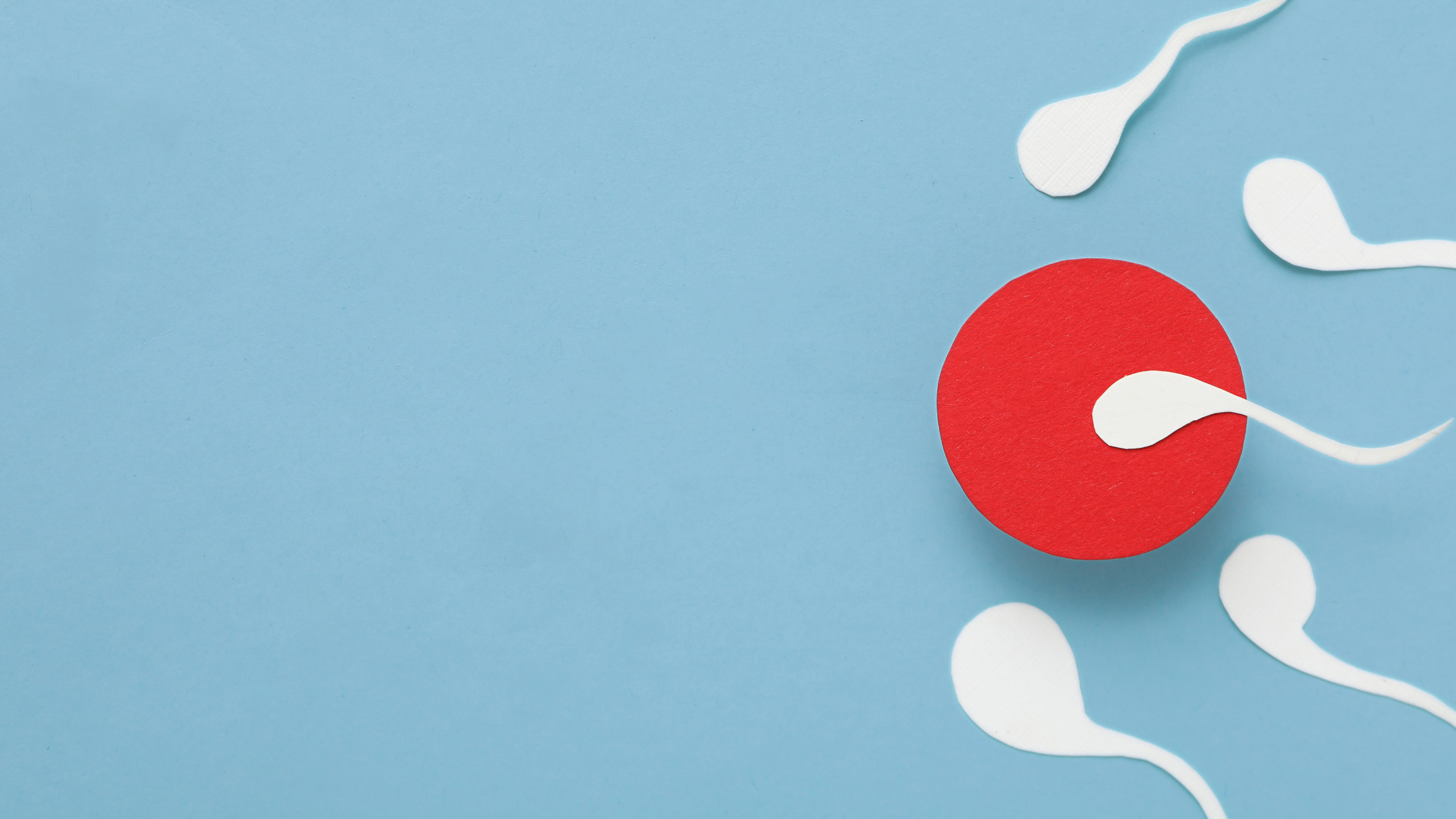 Spermiengesundheit und Ernährung: Warum Omega-3 wichtig ist