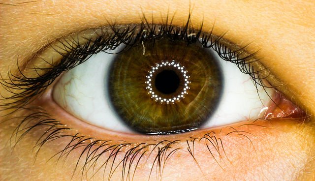 Nahaufnahme eines braunen Auges mit deutlich sichtbaren Wimpern und einer ringförmigen Lichtreflexion auf der Pupille, die von einer Bildschirmbeleuchtung stammen könnte.