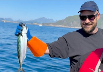 Warum norwegischer Fisch der beste ist: Natur, Wissenschaft & der Ballstad Standard
