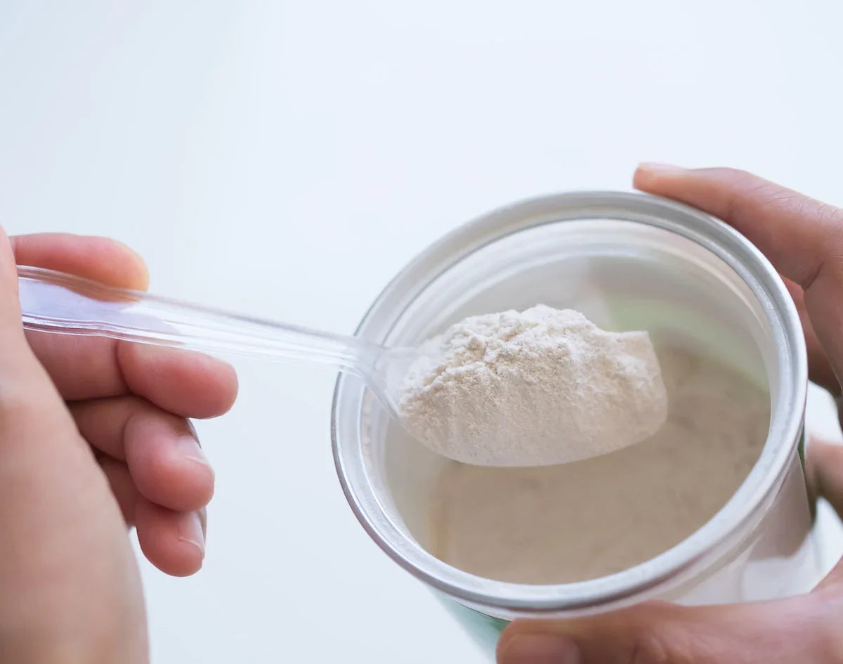 Löffel mit pulverförmigem Kollagen aus einer Dose – Nahaufnahme einer Hand, die Nahrungsergänzungspulver entnimmt.