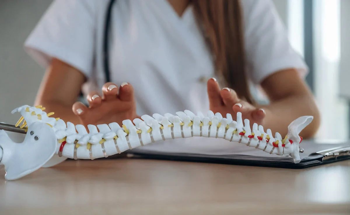 Ärztin zeigt auf ein Wirbelsäulenmodell auf einem Tisch – Symbol für Knochengesundheit und anatomische Beratung.