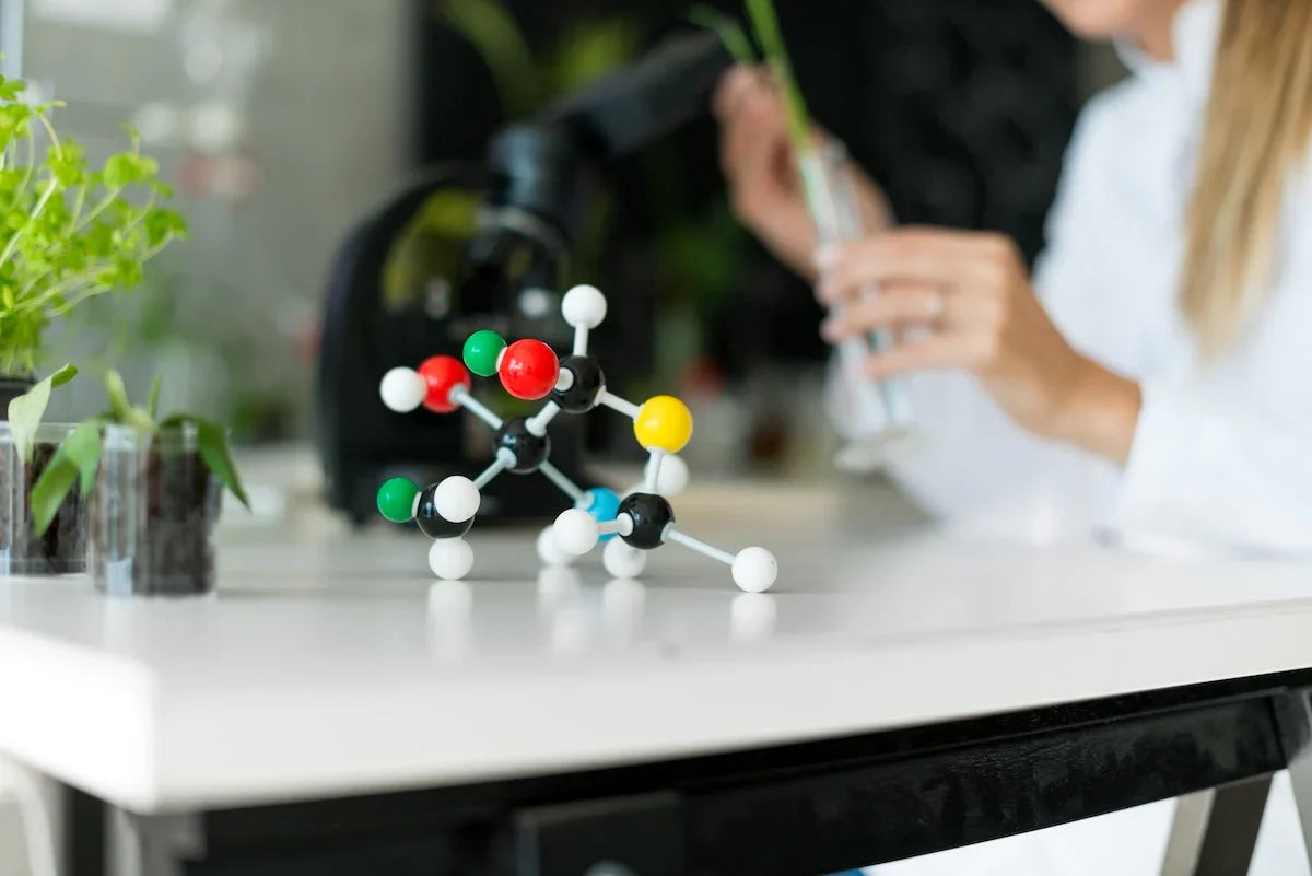 Modell einer Molekülstruktur auf einem Labortisch mit Pflanzenproben im Hintergrund – Symbol für Forschung zu Aminosäuren und Proteinen.