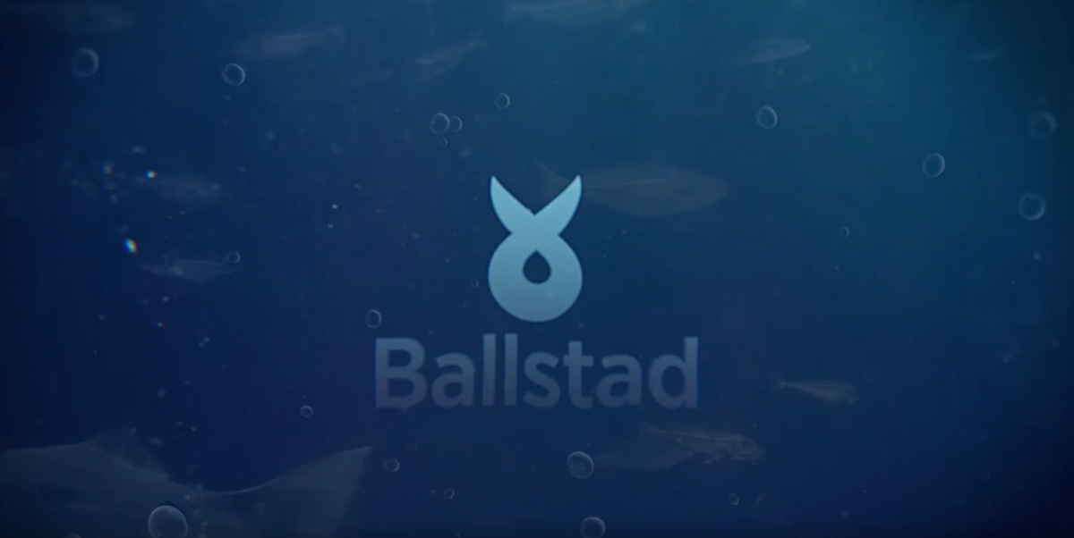 Laden Sie das Video: Das Team des SC Magdeburg spricht über Ballstad und darüber, wie es ihre Leistung vor, während und nach den Spielen unterstützt.